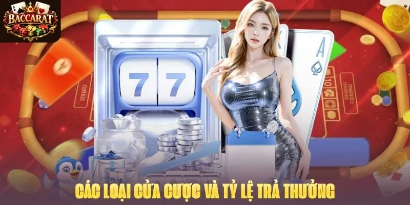 Các loại cửa cược và tỷ lệ trả thưởng tại các địa điểm uy tín